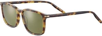 Serengeti Lenwood Shiny Classic Havana/Mineral Polarized Lifestyle brýle