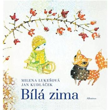 Bílá zima (978-80-000-6474-1)