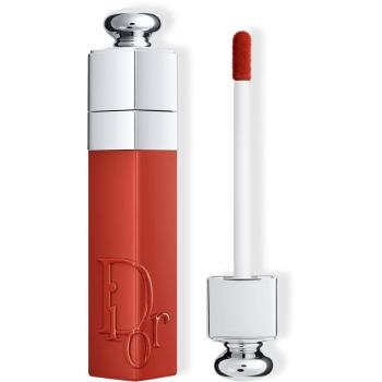 DIOR Dior Addict Lip Tint tekutá rtěnka odstín 421 Natural Tea 5 ml