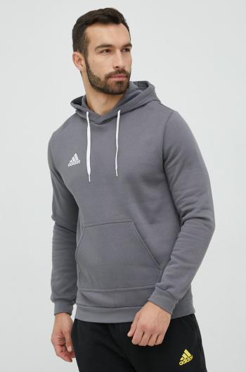 Mikina adidas Performance pánská, šedá barva, s kapucí, hladká, HB0578