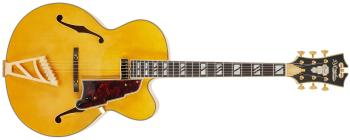 D'Angelico EXL-1 Amber