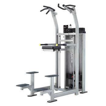 Multifunkční hrazda Steelflex Hope HCD2100 Chin/Dip