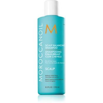 Moroccanoil Scalp Balancing Shampoo zklidňující šampon na mastné vlasy proti lupům 250 ml