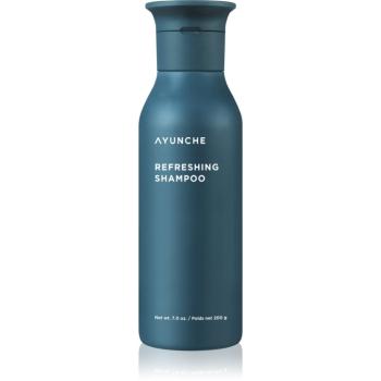 AYUNCHE Refreshing Shampoo osvěžující šampon pro mastné vlasy a vlasovou pokožku 200 g