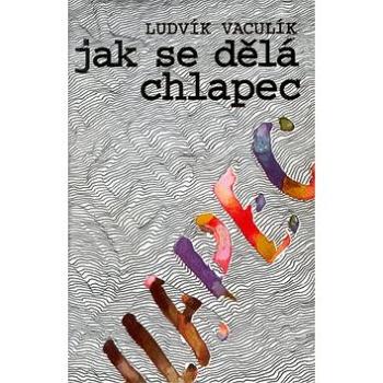 Jak se dělá chlapec (80-7108-074-8)