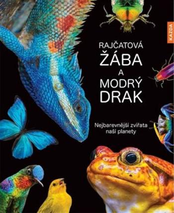 Rajčatová žába a modrý drak - Andrea Köhrsenová