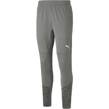 Puma TEAMCUP TRAINING PANTS Pánské sportovní tepláky, šedá, velikost