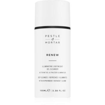 Pestle & Mortar RENEW čisticí pleťový gel 100 ml