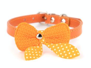 Vsepropejska Fashion obojek s motýlkem | 18 - 36 cm Barva: Oranžová, Obvod krku: 24 - 29 cm