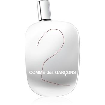 Comme des Garçons 2 parfémovaná voda unisex 100 ml