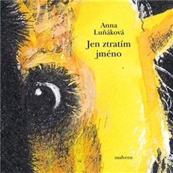 Jen ztratím jméno (978-80-7530-278-6)