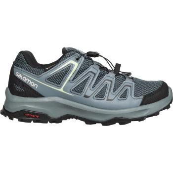 Salomon CUSTER GTX W Dámská turistická obuv, tmavě šedá, velikost 40