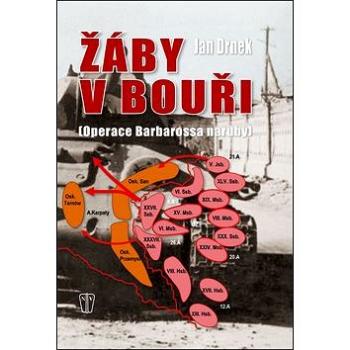 Žáby v bouři: Operace Barbarossa naruby (978-80-206-1334-9)