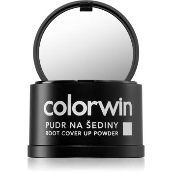 Colorwin Pudr pudr na vlasy pro objem a zakrytí šedin odstín Dark Brown 3,2 g