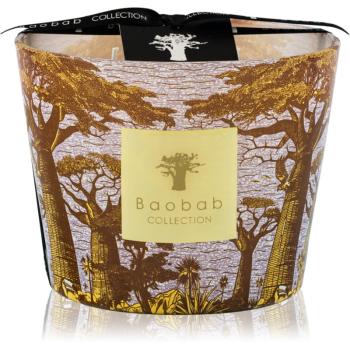 Baobab Collection Sacred Trees Cocody vonná svíčka 10 cm