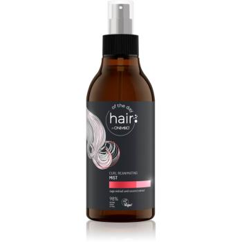 OnlyBio Hair Of The Day bezoplachová vlasová péče pro vlnité a kudrnaté vlasy 300 ml