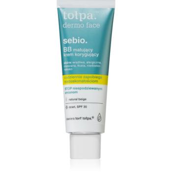 Tołpa Dermo Face Sebio matující BB krém 40 ml