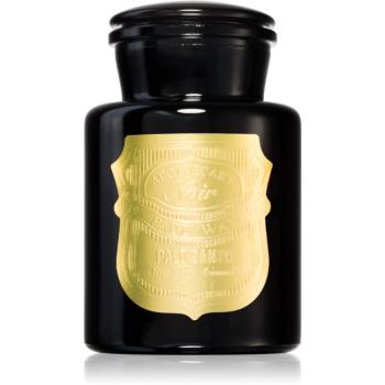 Paddywax Apothecary Noir Palo Santo illatgyertya 226 g