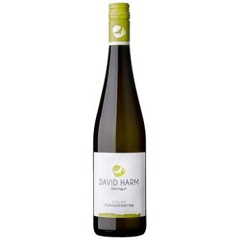 DAVID HARM Riesling Donauschotter BIO 2021 0,75l (9120033192129)