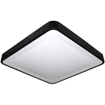 LED Stropní svítidlo WILTON LED/24W/230V černá (119303)