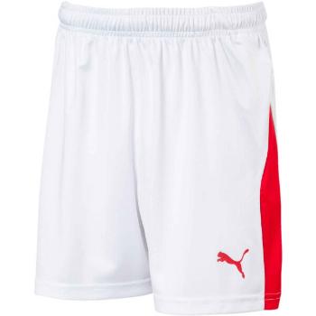 Puma LIGA SHORTS WITH BRIEF Chlapecké fotbalové šortky, bílá, velikost