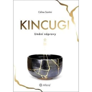 Kincugi: Umění nápravy (978-80-247-2503-1)