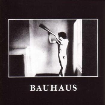 BAUHAUS - IN THE FLAT FIELD, Vinyl