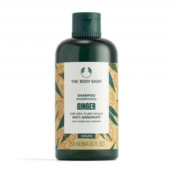 The Body Shop Šampon proti lupům Ginger (Anti-Dandruff Shampoo) 250 ml