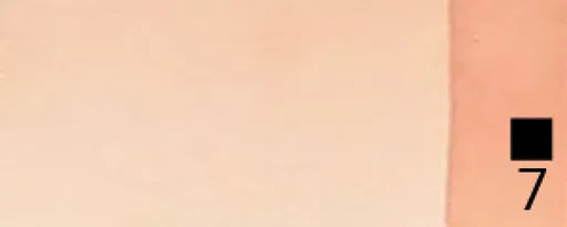 Akvarelové barvy Renesans 1,5ml – 02 Tělová