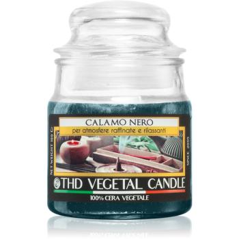 THD Italian Luxury Calamo Nero vonná svíčka 100 g