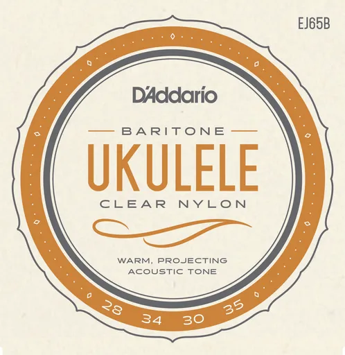 D'Addario EJ65B