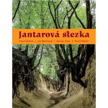 Jantarová stezka (978-80-200-3235-5)