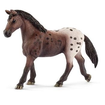 Schleich Appalooská kobyla 13861 (4055744027888)