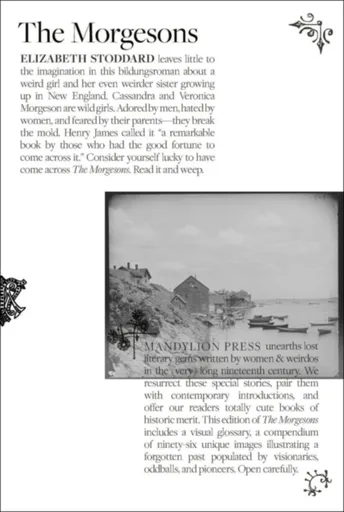 The Morgesons - Elizabeth Stoddard