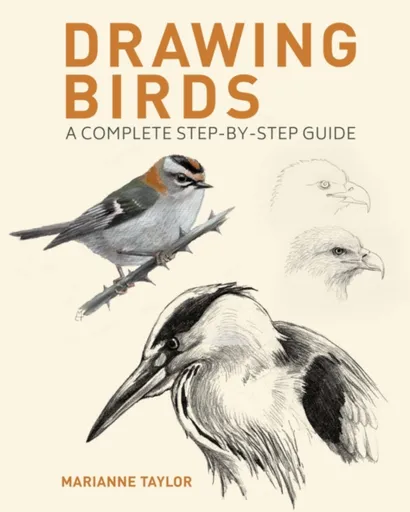 Drawing Birds - Taylor Marianne