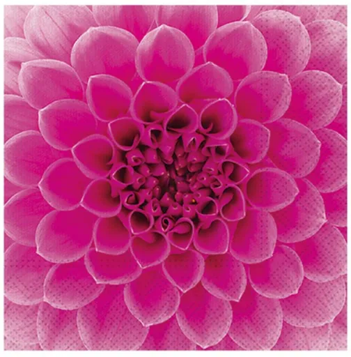 Ubrousek P 33x33 celorok SDL896013