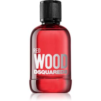 Dsquared2 Red Wood toaletní voda pro ženy 100 ml