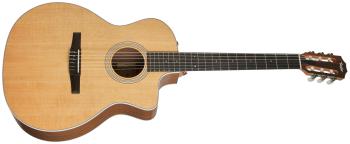 Taylor 214ce-N