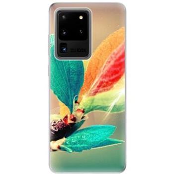 iSaprio Autumn pro Samsung Galaxy S20 Ultra (aut02-TPU2_S20U)