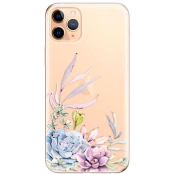 iSaprio Succulent 01 pro iPhone 11 Pro Max (succ01-TPU2_i11pMax)