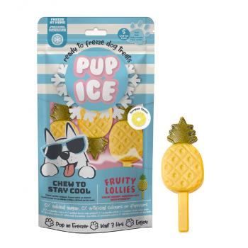 Chladící pochoutka Pup Ice zmrzlina pro psy ananas 3ks 90g