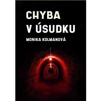 Chyba v úsudku (999-00-026-4692-8)