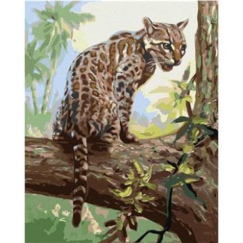 Zuty - Malování podle čísel - OCELOT MLÁDĚ NA STROMĚ (D. RUSTY RUST), 80x100 cm, vypnuté plátno na r (HRAmmb01537nad)