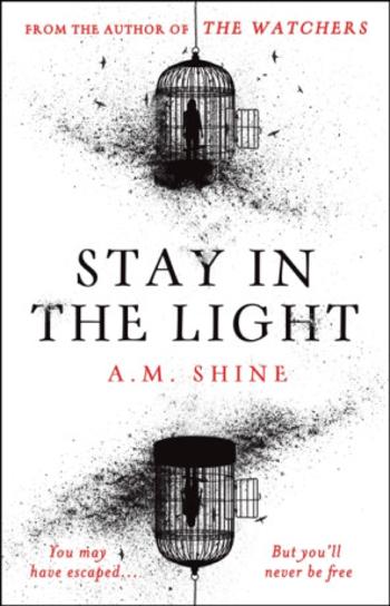 Stay in the Light - A.M. Shine