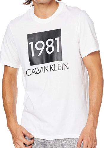 Pánské tričko Calvin Klein NM1708 M Bílá