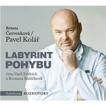 Labyrint pohybu