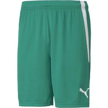 Puma TEAM LIGA SHORTS Pánské šortky, zelená, velikost