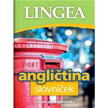 Angličtina slovníček: ... nejen pro začátečníky (978-80-7508-524-5)