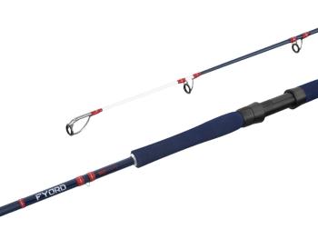 Delphin prút fyord big boat 2 m 300-400 g