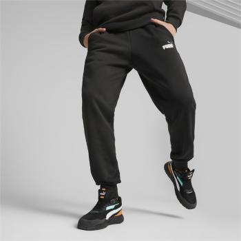 Puma ESS+ 2 Col Logo Pants FL cl S